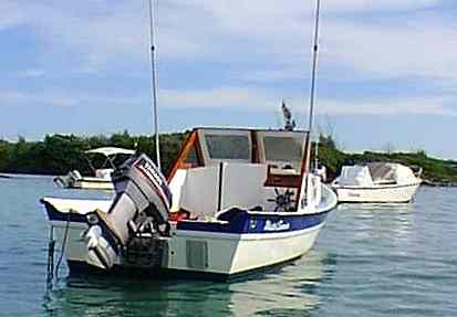 Wasted Seaman at the dock