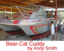 Bear-Cat Cuddy by Andy Smith